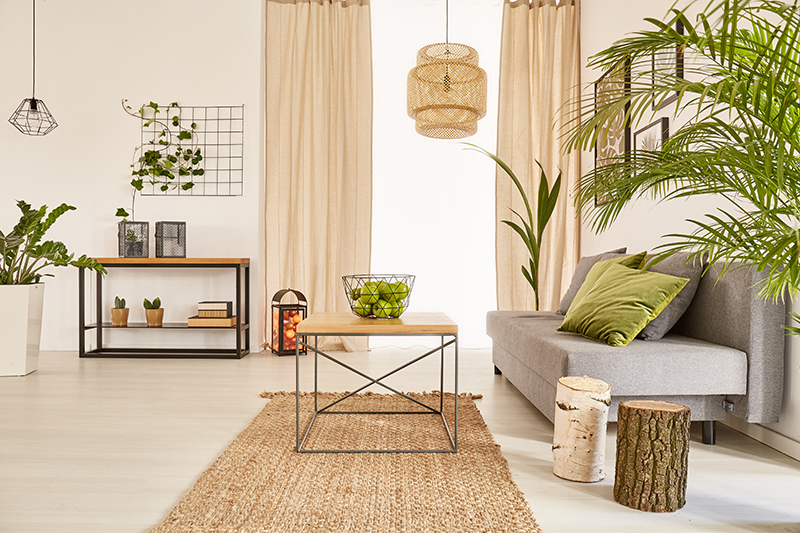 Well-lighted flat interior with plants and couch